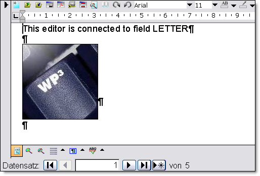 access_rtf_editor